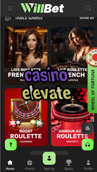 Casino Elevate - High-End VIP Casino Experience-casinoorder.vip