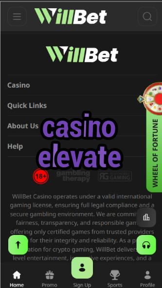 Casino Elevate - High-End VIP Casino Experience-casinoorder.vip