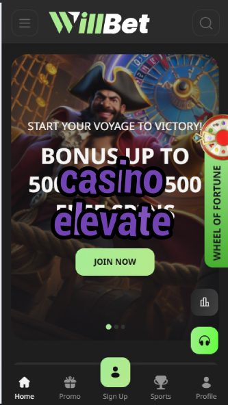 Casino Elevate - High-End VIP Casino Experience-casinoorder.vip